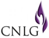 The National Commission for the Fight against Genocide (CNLG)  Commission Nationale de Lutte contre le Génocide